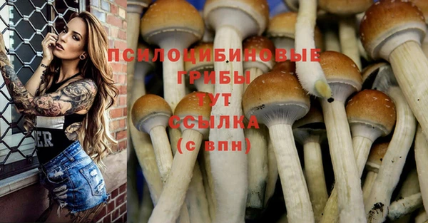 прущий лед Аркадак