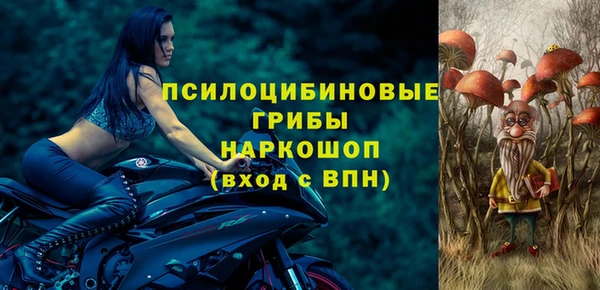 прущая мука Армянск