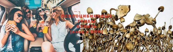 прущая мука Армянск