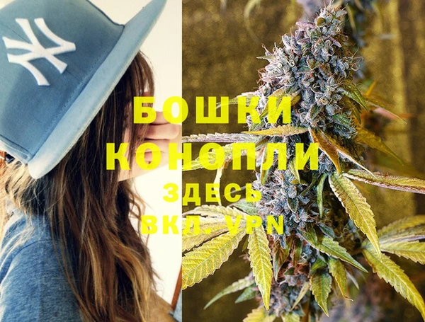ПСИЛОЦИБИНОВЫЕ ГРИБЫ Няндома