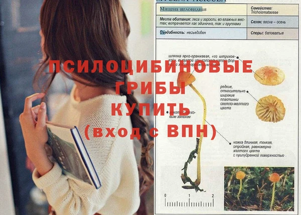 прущая мука Армянск